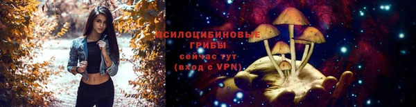 ALPHA-PVP Каменногорск